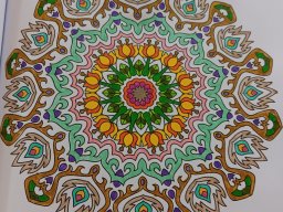 whatsapp bild 2024-07-21 um 12.17.17_720deca8